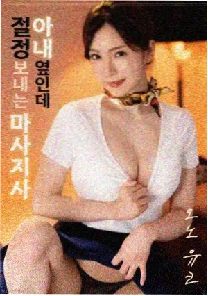 里约往事 电影 2011 巴西